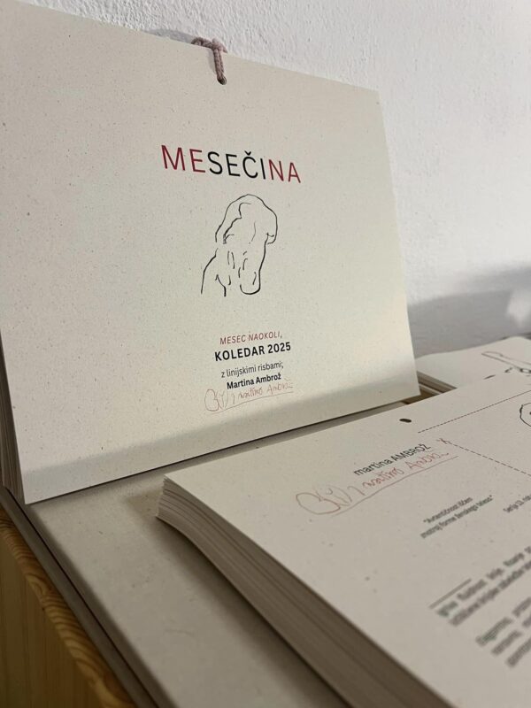 Koledar 2025 - Mesečina