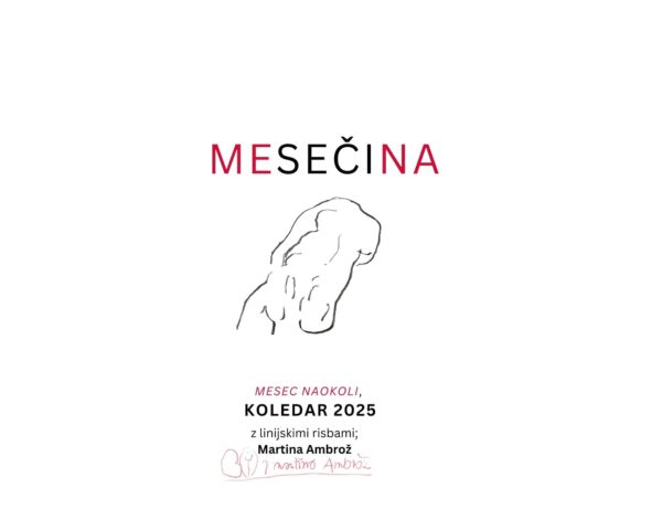 Koledar 2025 - Mesečina