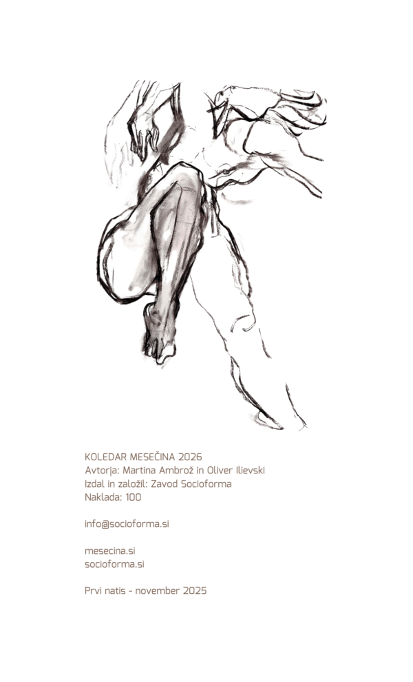 Koledar 2026 - Mesečina